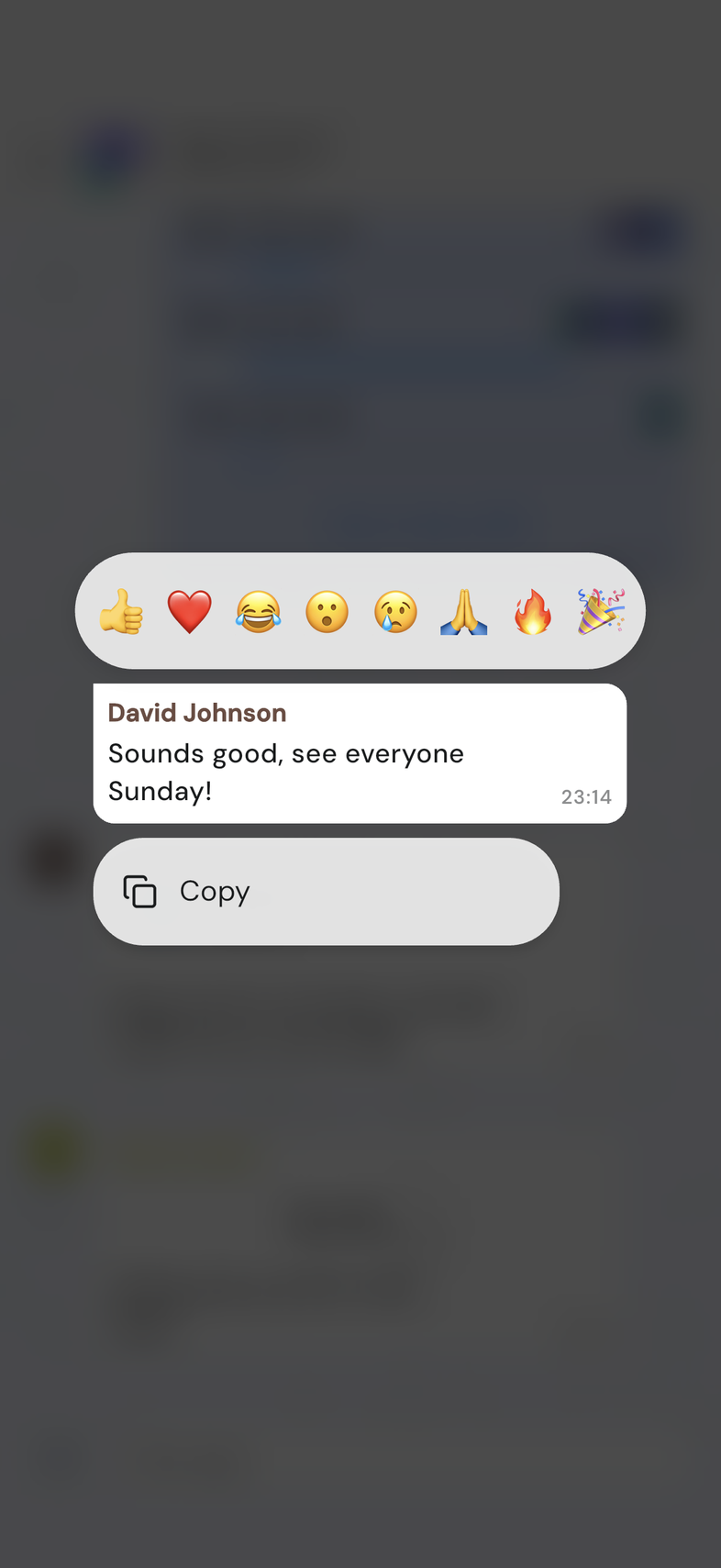 Message long-pressed on mobile with the emoji row above it
