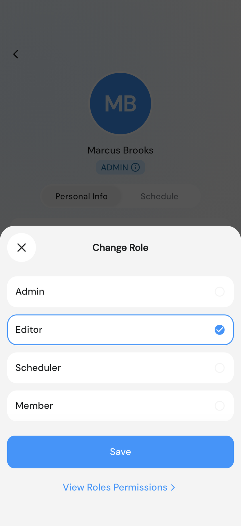 Change Role sheet with a role selected and View Roles Permissions below Save