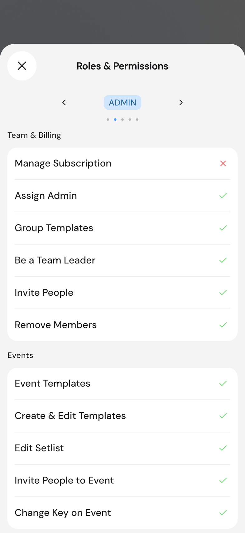 Roles & Permissions screen in the app, Team & Billing section